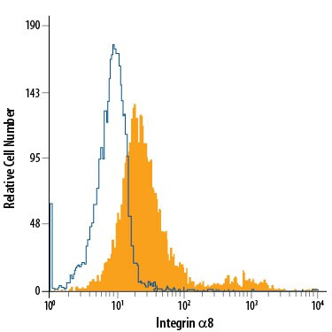 ITGA8 Antibody in Flow Cytometry (Flow)