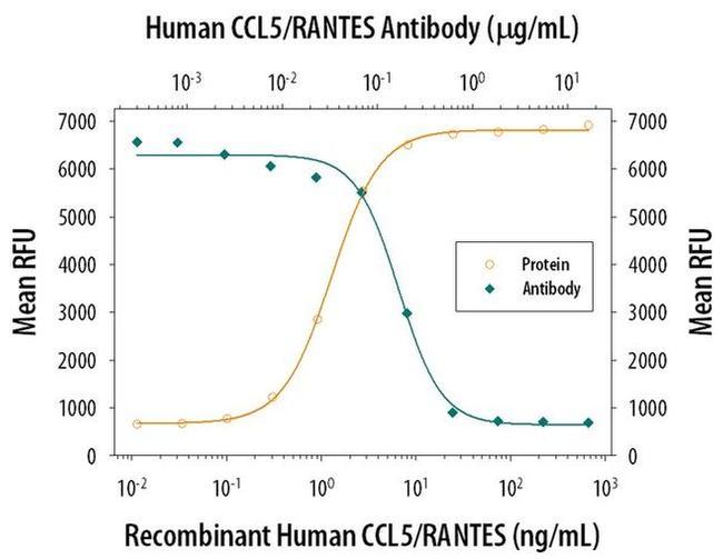 CCL5 (RANTES) Antibody