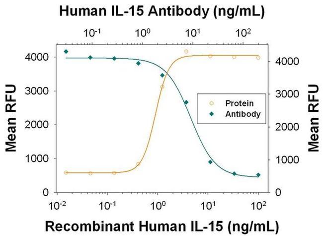 IL-15 Antibody