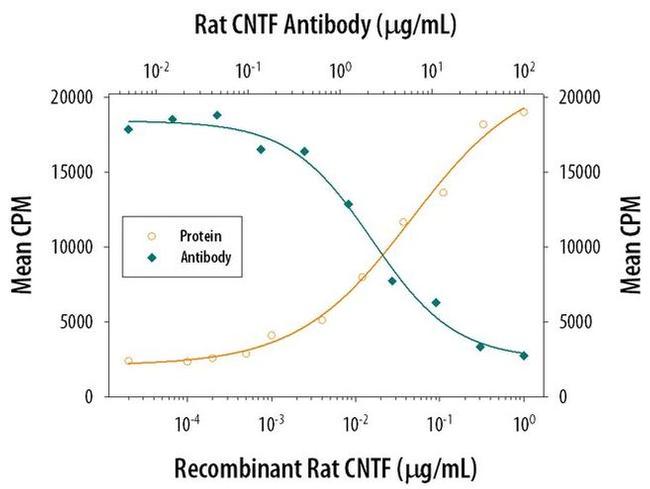CNTF Antibody in Neutralization (Neu)