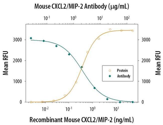 CXCL2 Antibody