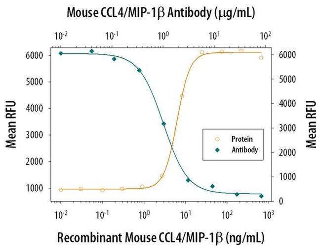 CCL4 Antibody