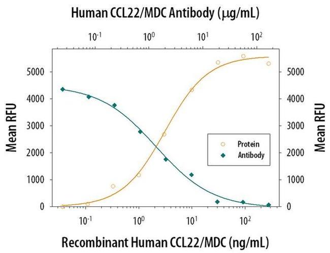 MDC Antibody