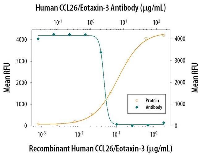 Eotaxin 3 Antibody