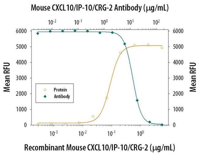 CXCL10 Antibody