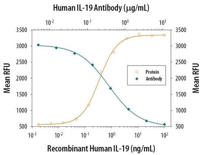 IL-19 Antibody