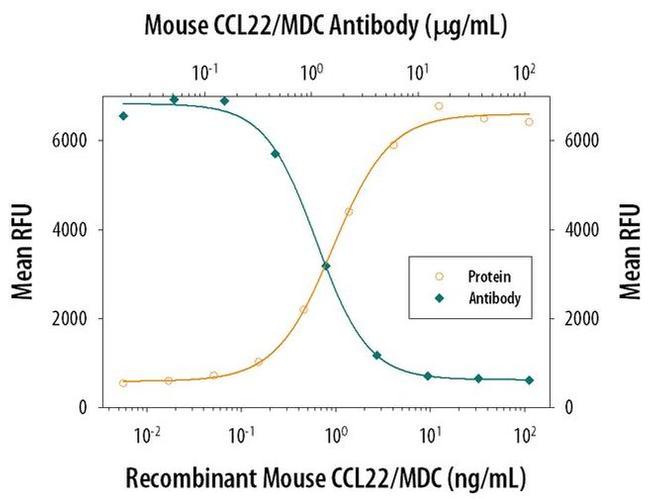 MDC Antibody