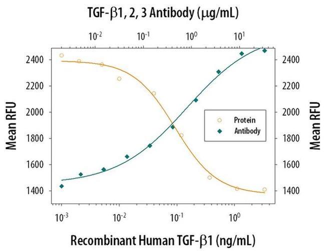 TGF beta-1,2,3 Antibody
