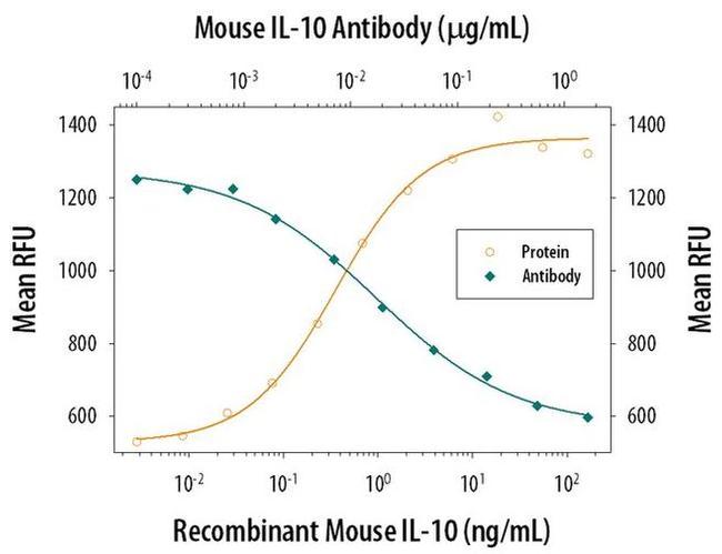 IL-10 Antibody