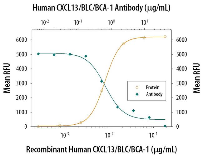 CXCL13 Antibody in Neutralization (Neu)