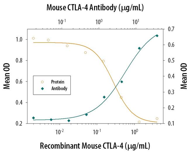 CTLA-4 Antibody in Neutralization (Neu)