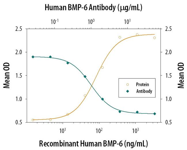 BMP-6 Antibody in Neutralization (Neu)