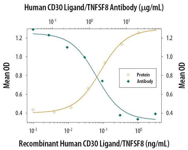 CD153 Antibody in Neutralization (Neu)