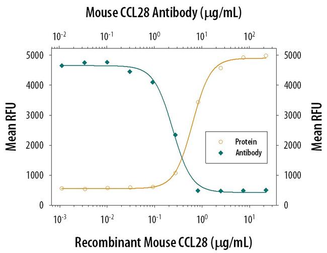 CCL28 Antibody in Neutralization (Neu)