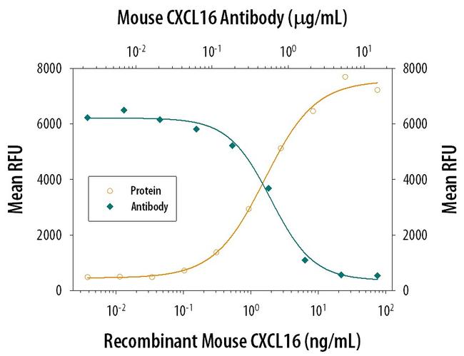 CXCL16 Antibody in Neutralization (Neu)