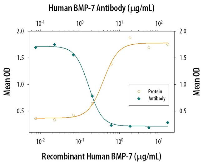 BMP-7 Antibody in Neutralization (Neu)