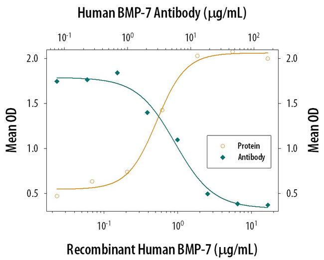 BMP-7 Antibody in Neutralization (Neu)