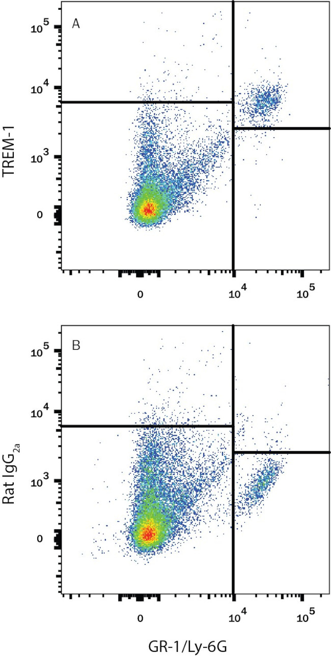 TREM1 Antibody in Flow Cytometry (Flow)