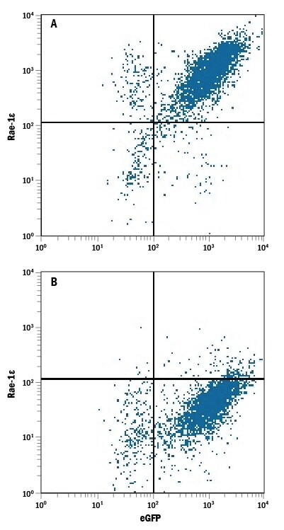 N2DL4 Antibody in Flow Cytometry (Flow)