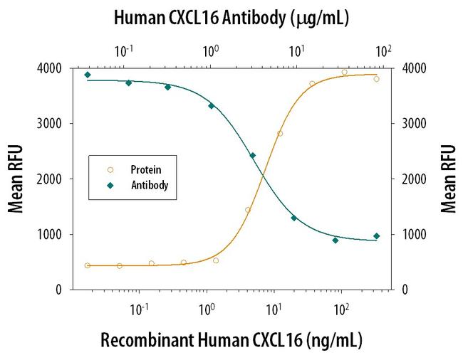 CXCL16 Antibody in Neutralization (Neu)