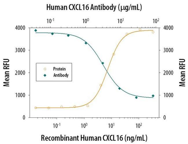 CXCL16 Antibody