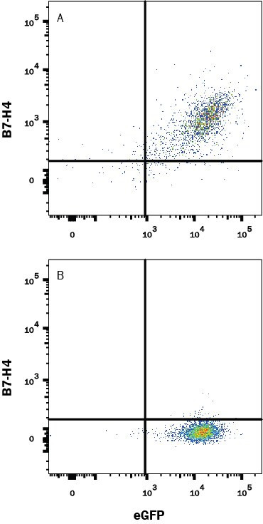 B7-H4 Antibody in Flow Cytometry (Flow)