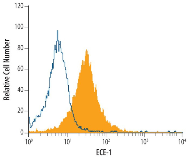 ECE1 Antibody in Flow Cytometry (Flow)