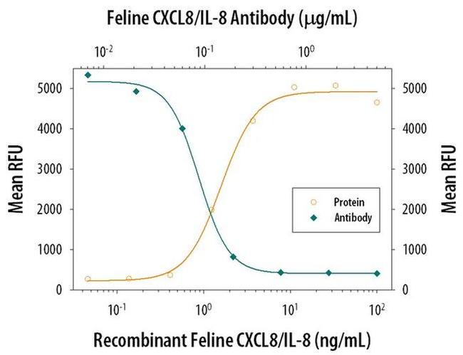 IL-8 (CXCL8) Antibody