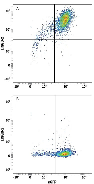 LINGO2 Antibody in Flow Cytometry (Flow)