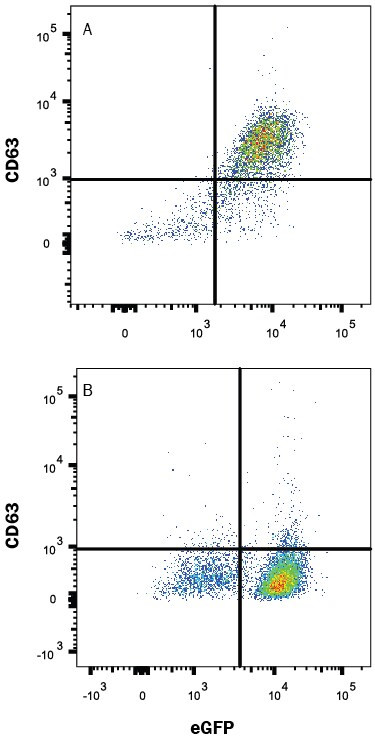 CD63 Antibody in Flow Cytometry (Flow)