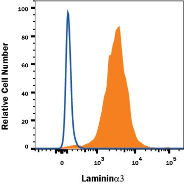 Laminin alpha-3 Antibody in Flow Cytometry (Flow)