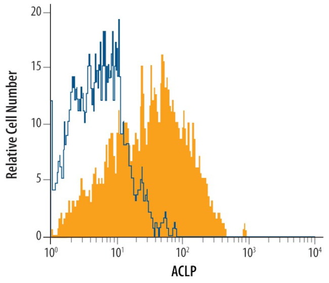 AEBP1 Antibody in Flow Cytometry (Flow)