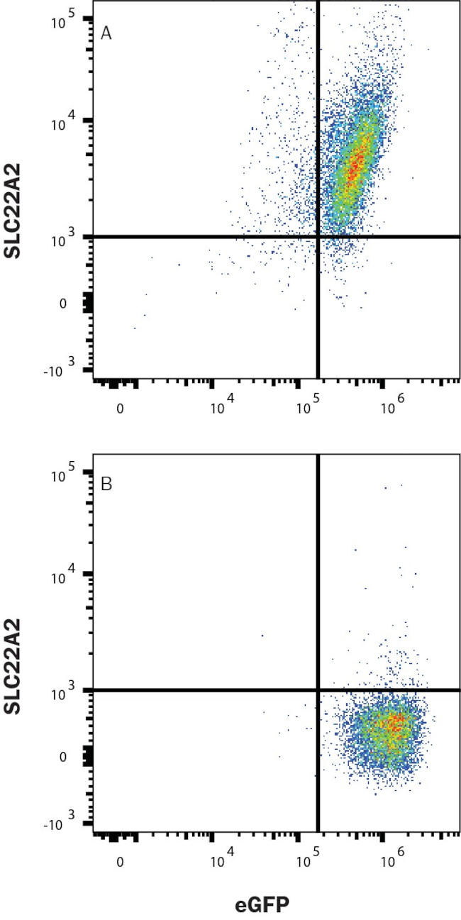 SLC22A2 Antibody in Flow Cytometry (Flow)