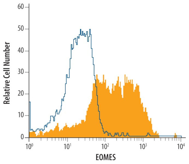 EOMES Antibody in Flow Cytometry (Flow)