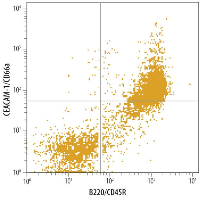 CEACAM1 Antibody in Flow Cytometry (Flow)