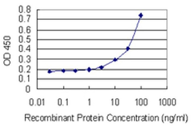 DEF6 Antibody in ELISA (ELISA)