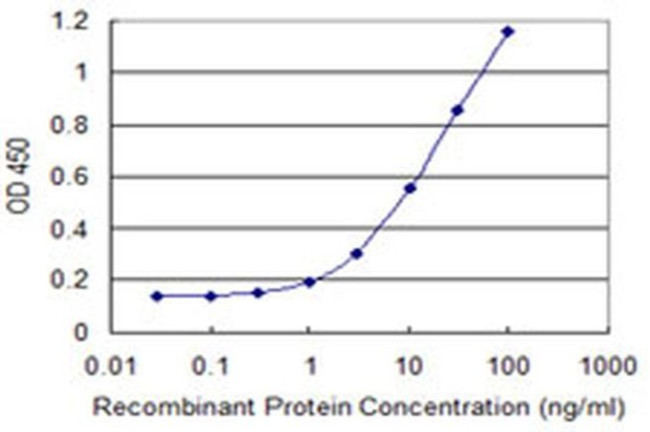 TCP11 Antibody in ELISA (ELISA)