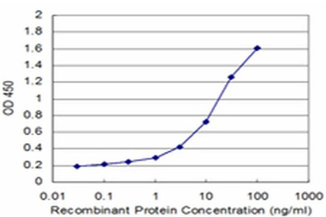 PIGQ Antibody in ELISA (ELISA)