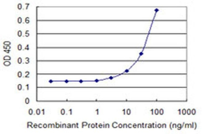 ZNF8 Antibody in ELISA (ELISA)