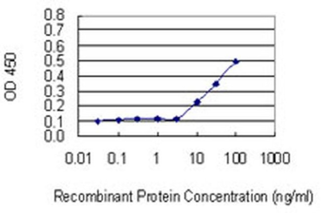 RGN Antibody in ELISA (ELISA)