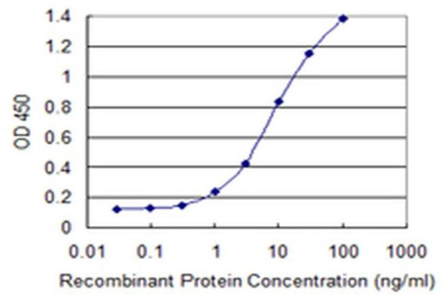 VAMP5 Antibody in ELISA (ELISA)