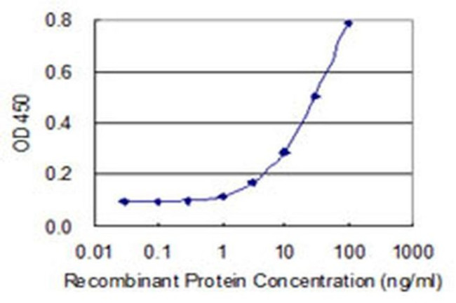 IER2 Antibody in ELISA (ELISA)