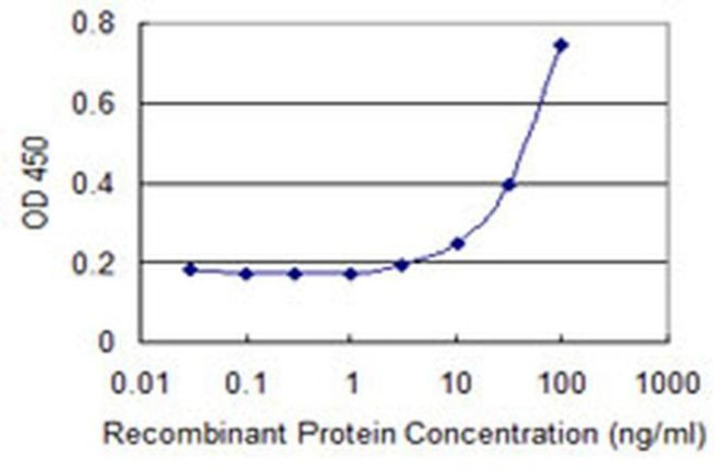 ZHX3 Antibody in ELISA (ELISA)