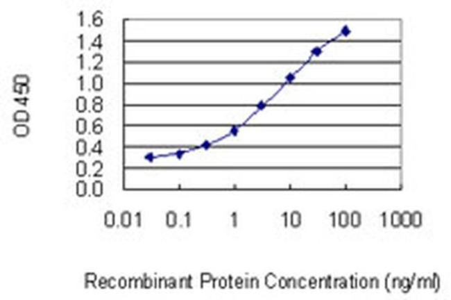 C13orf15 Antibody in ELISA (ELISA)