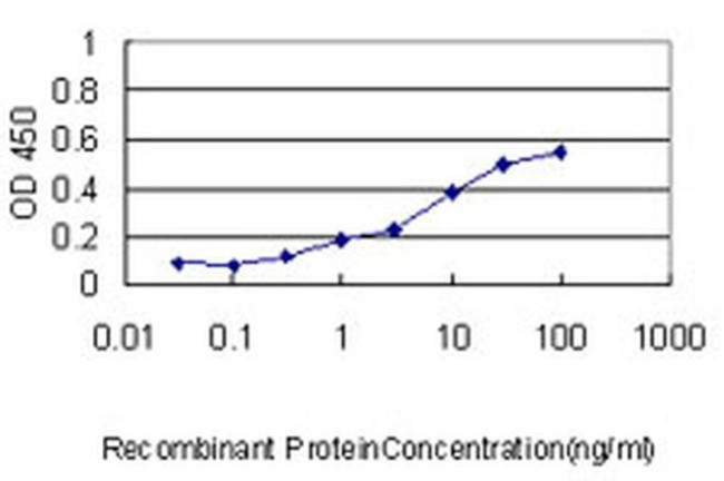 SCNM1 Antibody in ELISA (ELISA)