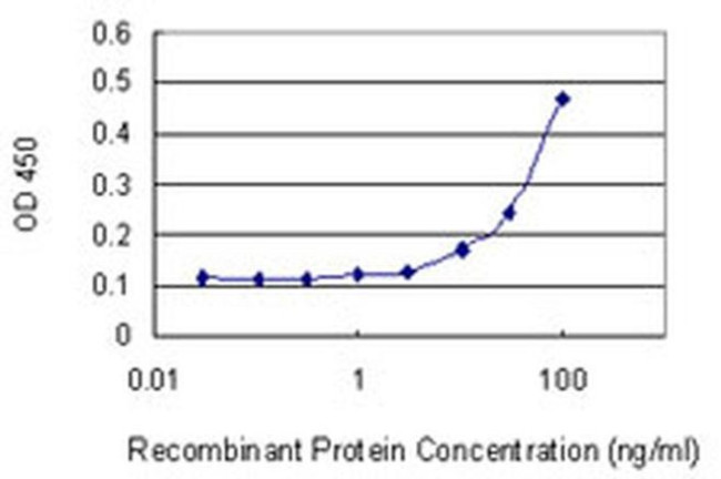 FMN1 Antibody in ELISA (ELISA)