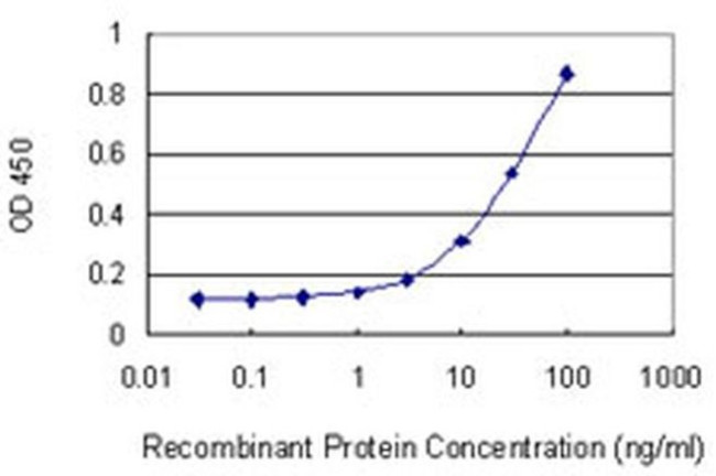 ZCCHC13 Antibody in ELISA (ELISA)