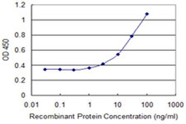 OR2A2 Antibody in ELISA (ELISA)