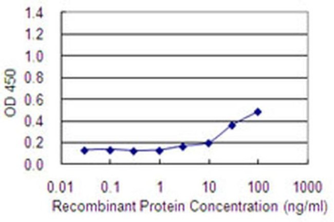 MAGEA2 Antibody in ELISA (ELISA)