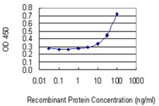 PMVK Antibody in ELISA (ELISA)